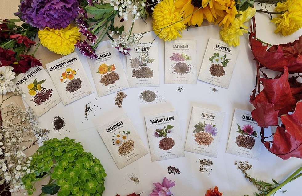 Medicinal Garden Kit seed packets and seeds shown on the vendor website